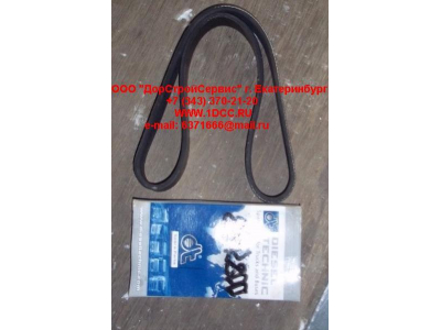Ремень 8PK800 ЕВРОПА 2.21078 фото 1 Набережные Челны