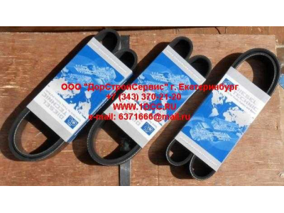Ремень 8PK1055 ЕВРОПА 2.15363 фото 1 Набережные Челны